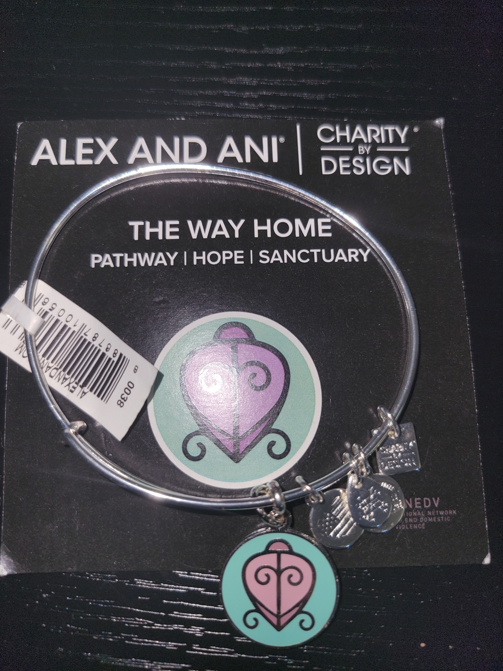 Alex and Ani Silver Bangle "The Way Home" Bracelet